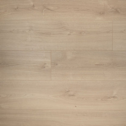 Douwes Dekker Laminaat - Puur - Extra lange plank 2,20 m - 8 mm dik 