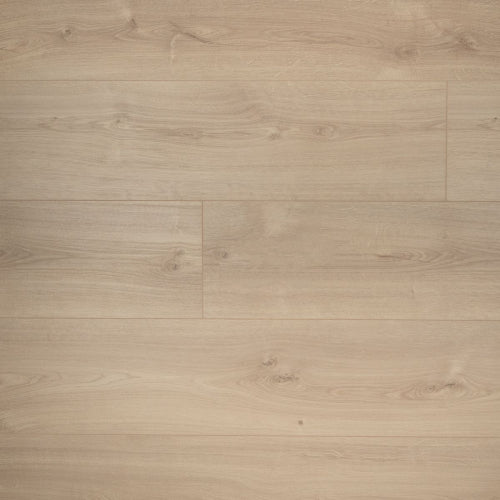 Douwes Dekker Laminaat - Puur - Extra lange plank 2.20 m - 8 mm dik