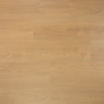 Douwes Dekker Laminaat - Puur - Extra lange plank 2,20 m - 8 mm dik 