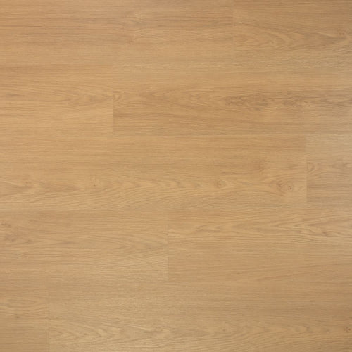 Douwes Dekker Laminaat - Puur - Extra lange plank 2.20 m - 8 mm dik