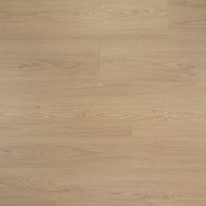 Douwes Dekker Laminaat - Puur - Extra lange plank 2,20 m - 8 mm dik 