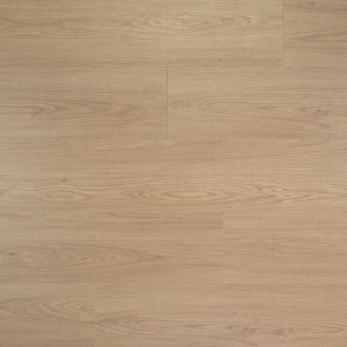Douwes Dekker Laminaat - Puur - Extra lange plank 2.20 m - 8 mm dik