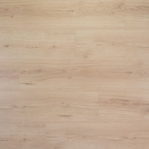 Douwes Dekker Laminaat - Puur - Extra lange plank 2.20 m - 8 mm dik