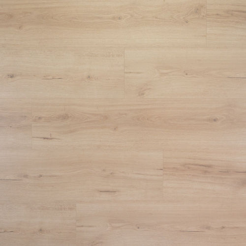 Douwes Dekker Laminaat - Puur - Extra lange plank 2.20 m - 8 mm dik